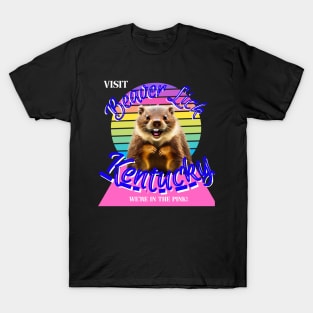 Visit Beaver Lick T-Shirt